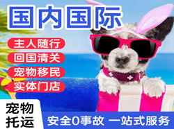 景德镇空运国际宠物托运 【国